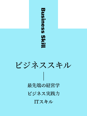 ビジネススキル(最先端の経営学/ビジネス実践力/ITスキル)