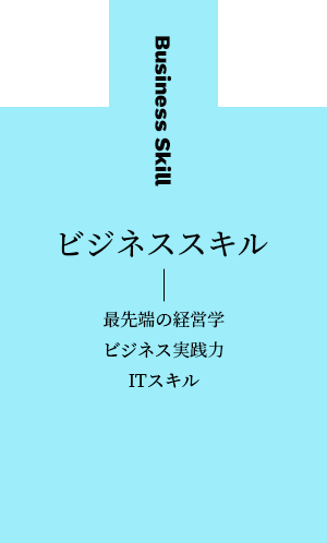 ビジネススキル(最先端の経営学/ビジネス実践力/ITスキル)