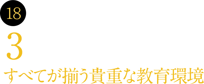 18 看護、リハビリテーション3分野（理学、作業、言語聴覚）すべてが揃う貴重な教育環境